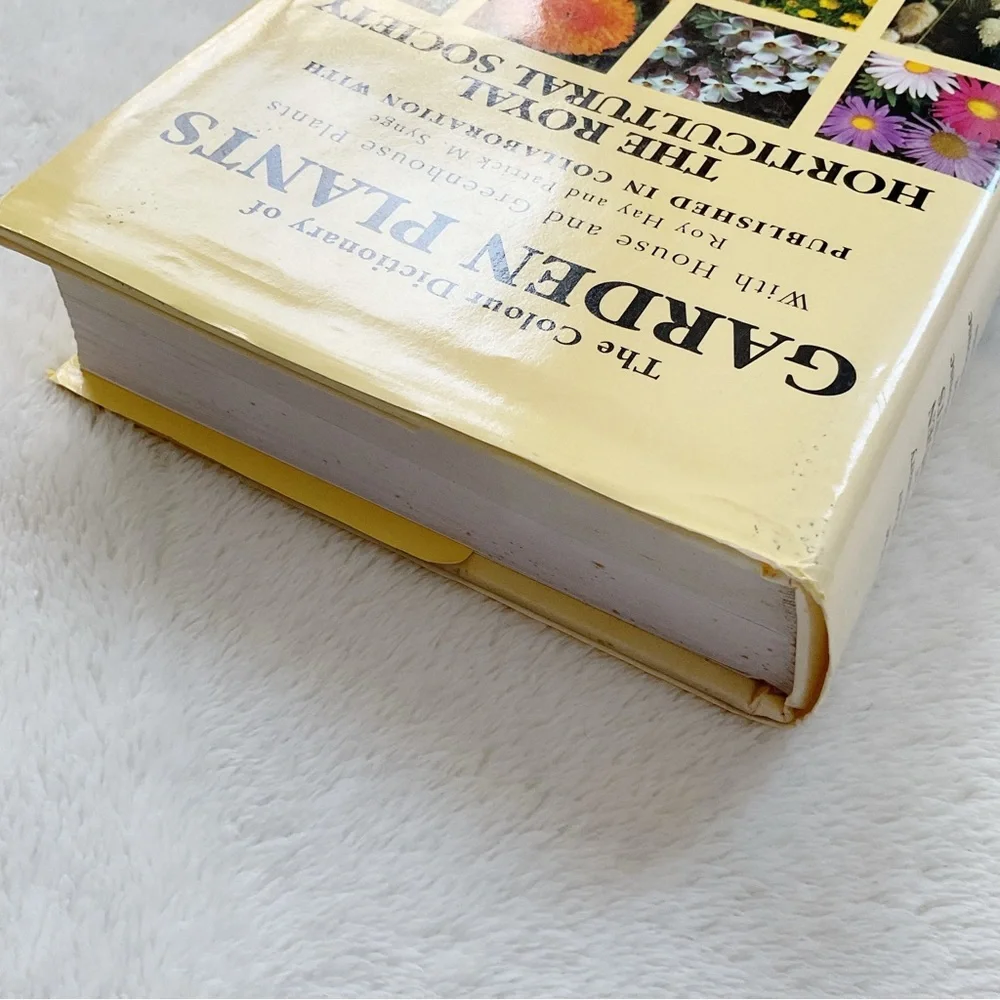 Vintage beautiful comprehensive